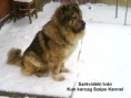 /album/kepgaleria-ivan/dsc05860-jpg/